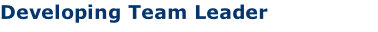 Developing Team Leader