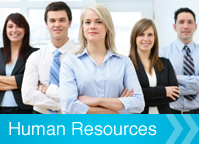 HR consultancy service at Metice Development Solutions 