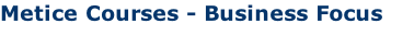 Metice Courses - Business Focus